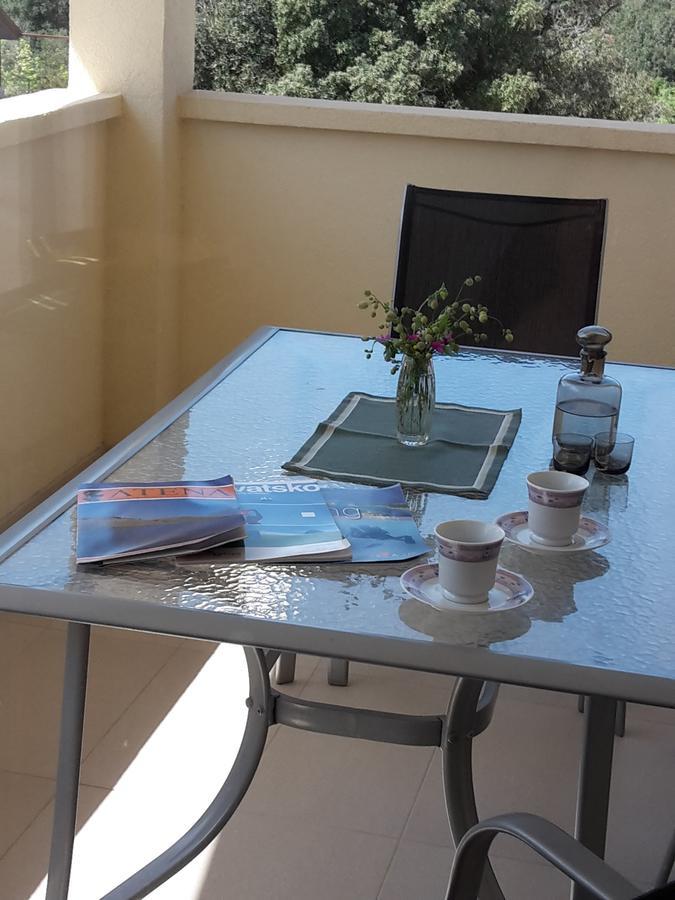Ferienwohnung Atena Zaton Nin Exterior foto